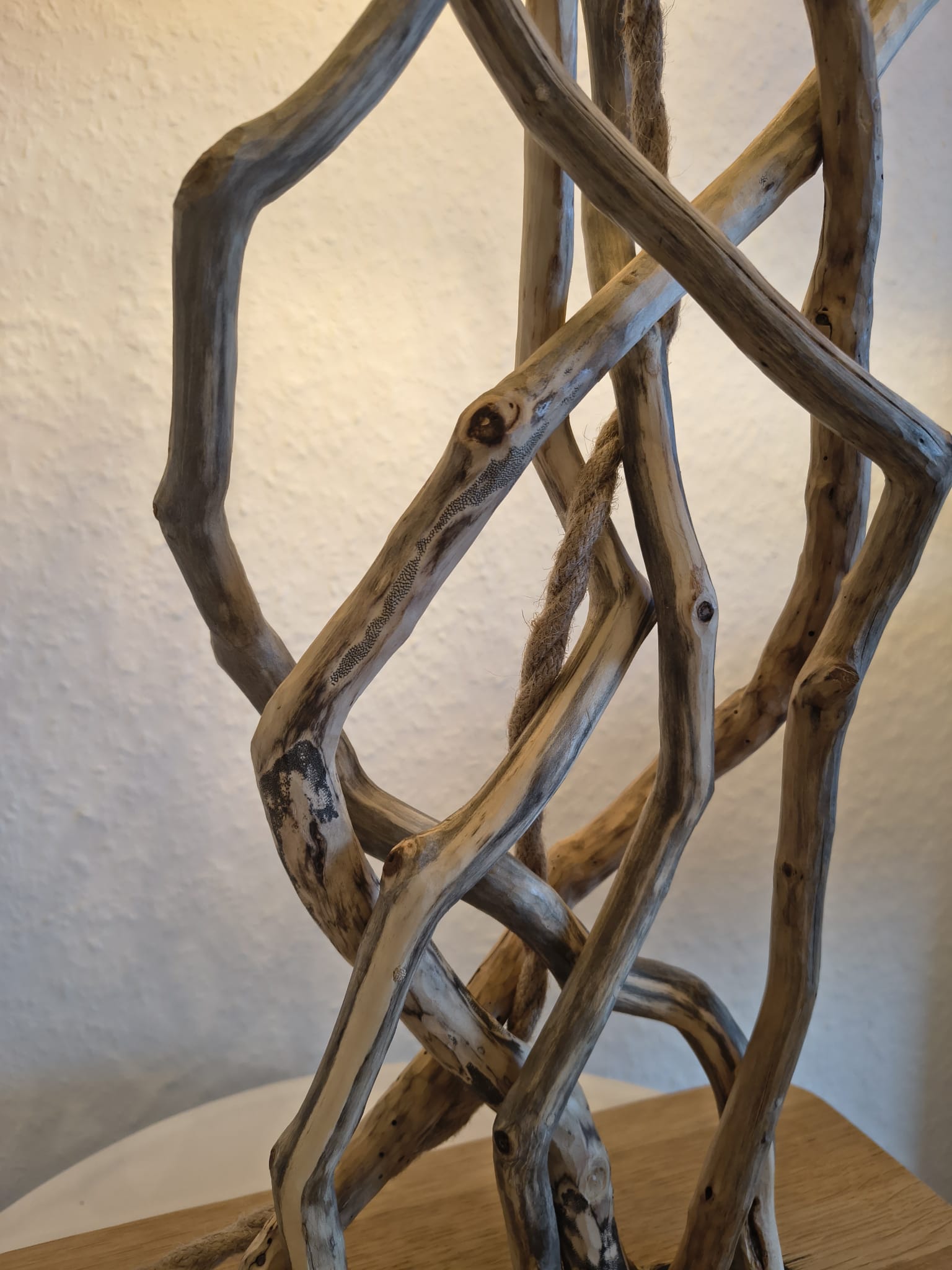 Détail du pied noué de la Lampe Racines, branches de bois flotté entrelacées